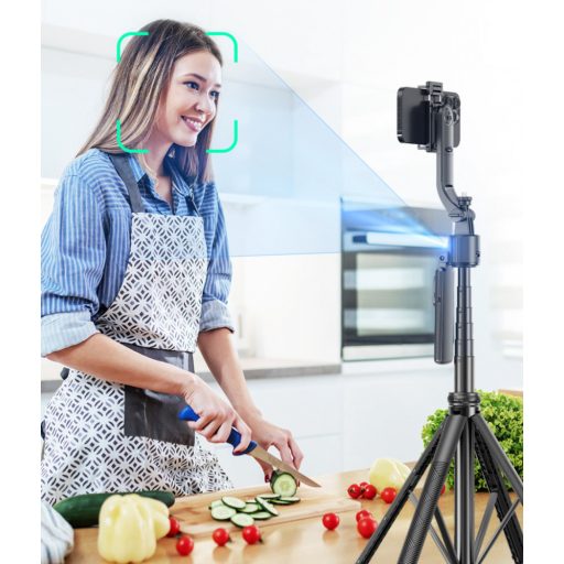 AI Tripod selfie bot, Fekete