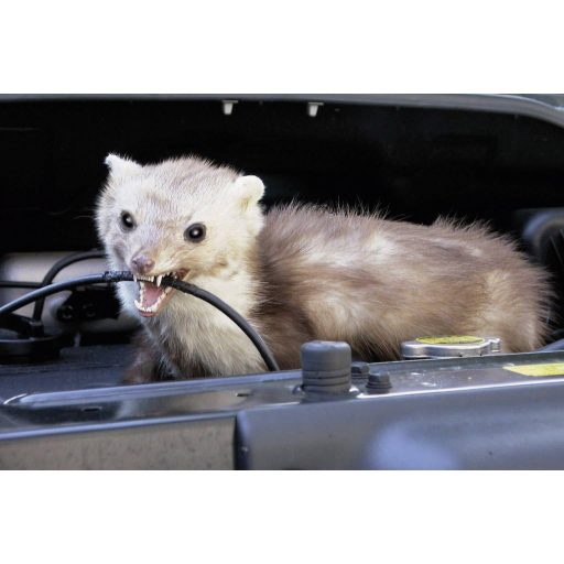 Egér-, patkány- és nyestriasztó, Kemo M234 18030DI