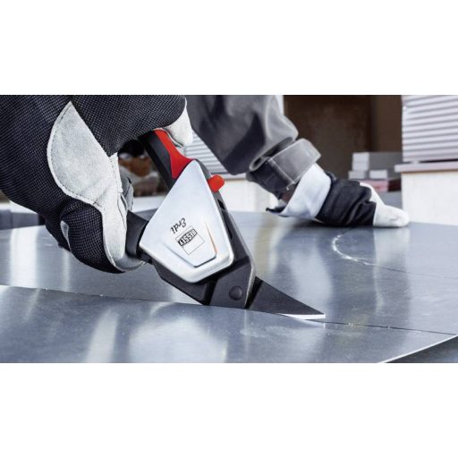 Bessey Az ón elcsípte a D39ASSL bal oldali vágását D39ASSL