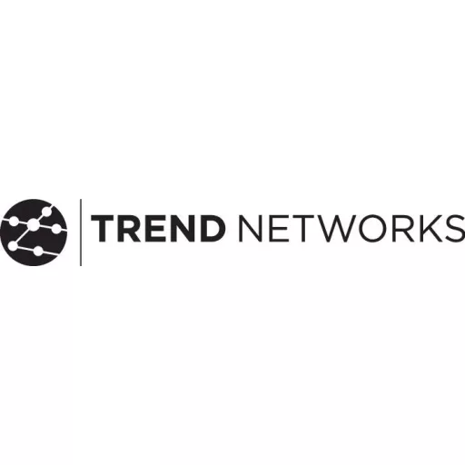 Trend Networks SecuriTEST IP Akku Vezetékkereső