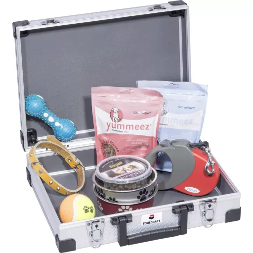 Szerszámos alu pilótatáska 285 x 105 x 345 mm, üres, Toolcraft TO-5091546