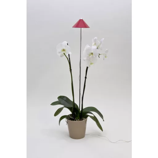 Venso LED növény lámpa SUNLiTE Fixen beépített LED-es 7 W Semleges fehér 1 db