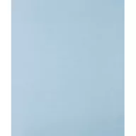   PFERD TOOLS 45015080 Kézi csiszolópapír Szemcsézet 800 (H x Sz) 280 mm x 230 mm 50 db