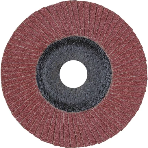 PFERD TOOLS 67606125 A Sg Steelox Felületcsiszoló korong Ø 125 mm Furat átmérő 22.23 mm Szemcsézet 60 10 db