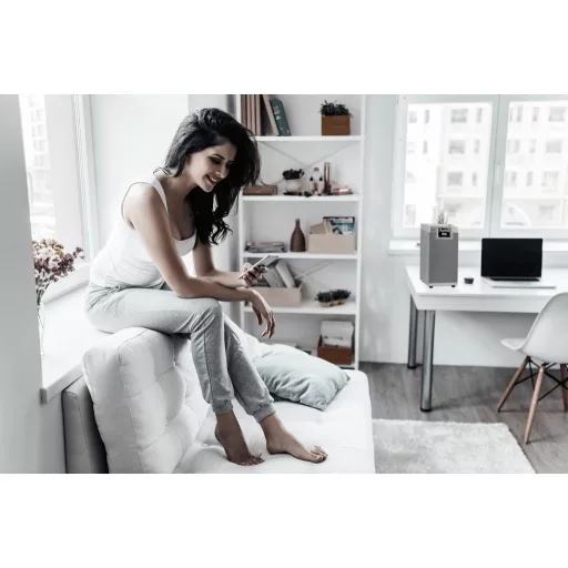 Imperial DABMAN i610 silber Asztali rádió DAB+, DAB, Internet, URH Bluetooth®, WLAN DLNA-ra alkalmas Ezüst