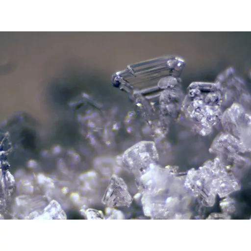 Bresser Optik 5803600 Erudit ICD Sztereo mikroszkóp Binokulár 40 x Beeső fény, Átvilágítás