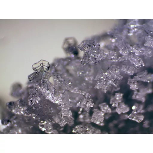 Bresser Optik 5803600 Erudit ICD Sztereo mikroszkóp Binokulár 40 x Beeső fény, Átvilágítás