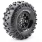 Louise 1:10 Crawler Abroncs Rowdy 2 db
