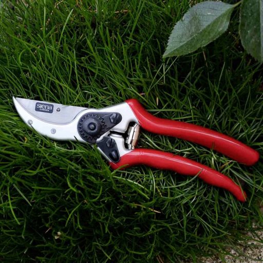 Siena Garden CG1020 Fűnyíró olló 21.5 cm Bypass