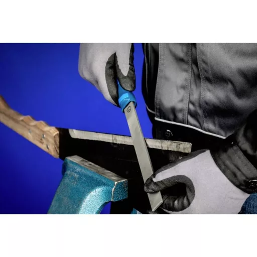 PFERD TOOLS 11608203 malom fűrészreszelő Hossz 200 mm 10 db