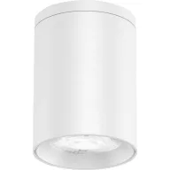   EVN AL54100102 EVN Lichttechnik LED-es mennyezeti lámpa 10 W Fehér