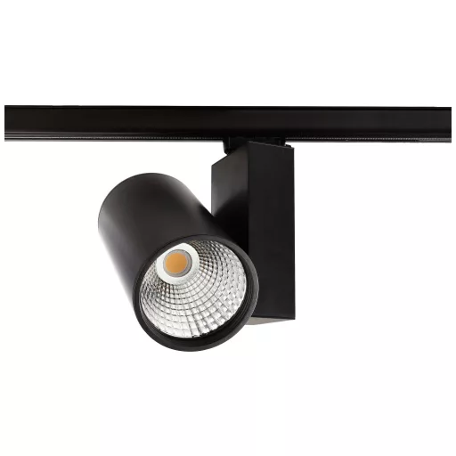 Deko Light Aaron 707091 LED-es sín fényszóró 3 fázisú 79 W LED EEK: F (A - G) Fekete