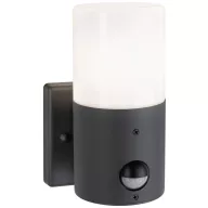   Paulmann Outd 230V Wandl Tubs PIR grau 94648 Kültéri fali lámpa mozgásérzékelővel E27