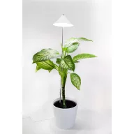   Venso LED növény lámpa, növekedés SUNLiTE XL 25 W Weiß 230 V Fixen beépített LED-es 25 W Semleges fehér 1 db