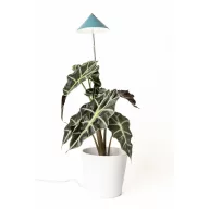   Venso LED növény lámpa, növekedés SUNLiTE 7 W Petrol 230 V Fixen beépített LED-es 7 W 1 db