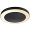 Paulmann Circula 94525 LED-es kültéri mennyezeti lámpa 14 W Antracit