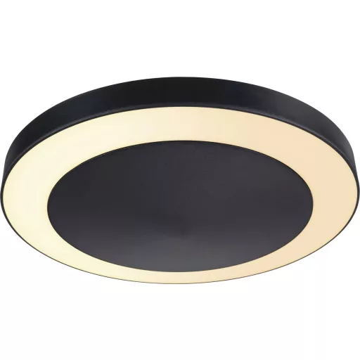 Paulmann Circula 94525 LED-es kültéri mennyezeti lámpa 14 W Antracit