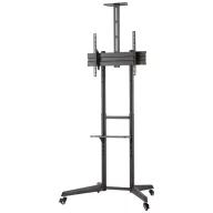   Neomounts FL50-550BL1 TV talp 94,0 cm (37) - 177,8 cm (70) Álló, Dönthető, Állítható magasságú