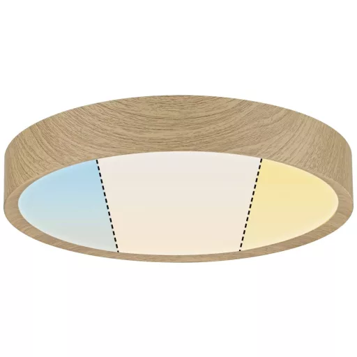 Paulmann 71085 Tega LED-es mennyezeti lámpa LED 22.5 W Fa