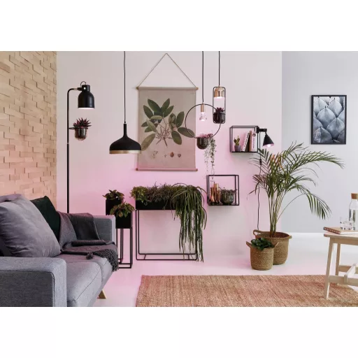 Paulmann LED növény lámpa, növekedés 230 V E27 6.5 W Borostyán 1 db