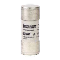 Schneider Electric DF2FN63 Biztosíték 10 db