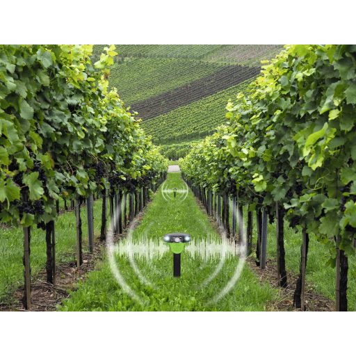 Gardigo Solar Vogelscheuche Feindgeräusch Madárriasztó Funkcióelv Elriasztás 1 db