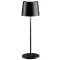 Paulmann 76996 Gilo LED-es kültéri fényszóró mozgásjelzővel 2.8 W Melegfehér Fekete (matt)