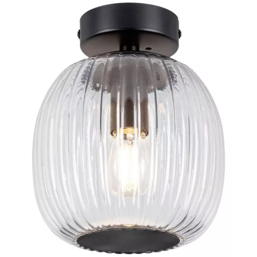 Paulmann 71145 Ruya Mennyezeti lámpa E14 Üveg , Fekete (matt)