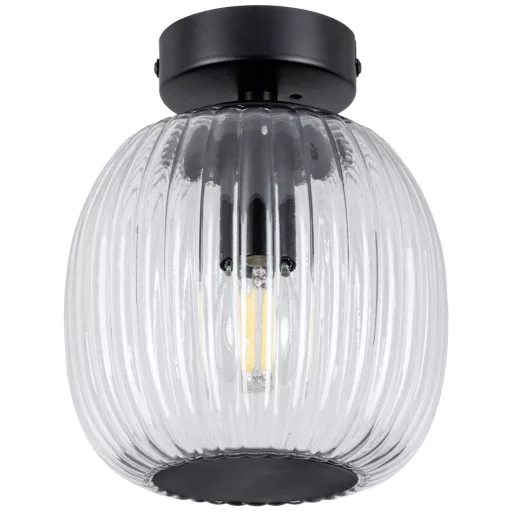 Paulmann 71145 Ruya Mennyezeti lámpa E14 Üveg , Fekete (matt)