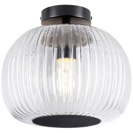 Paulmann 71146 Ruya Mennyezeti lámpa E27 Üveg , Fekete (matt)