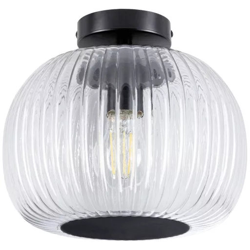 Paulmann 71146 Ruya Mennyezeti lámpa E27 Üveg , Fekete (matt)