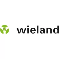   Wieland Electric 81.000.6110.0 Kapcsolóüzemű tápegység 24 V 1.25 A 30 W Tartalom, tartalmi egységek rendelésenként 1 db