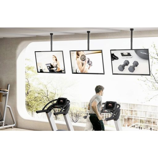 My Wall Bewegliche TV Deckenhalterung TV mennyezeti tartó