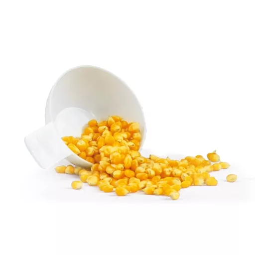 Silva Homeline PM 440 428023 Popcorn készítő Fehér