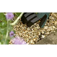   Bosch Home and Garden AXT RAPID 2200 Késes aprító Elektromos 2200 W
