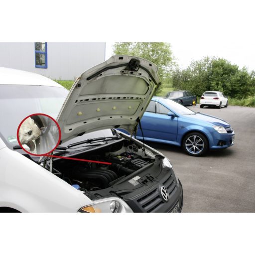 IWH 78407 Nyestriasztó 1 db