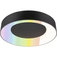 Paulmann 75416 Mennyezeti lámpa 20 W Fekete (matt)