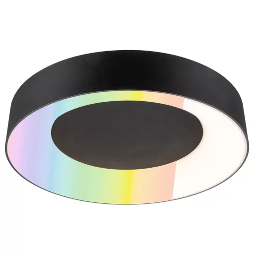 Paulmann 75416 Mennyezeti lámpa 20 W Fekete (matt)