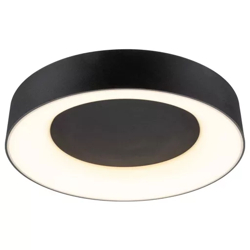 Paulmann 75416 Mennyezeti lámpa 20 W Fekete (matt)