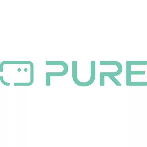 Pure Classic H4i Black-Black Ash EU/UK Táskarádió Internet, DAB+, FM DAB+, Bluetooth®, USB, MP3, Internetrádió Fekete, Kőrisfa