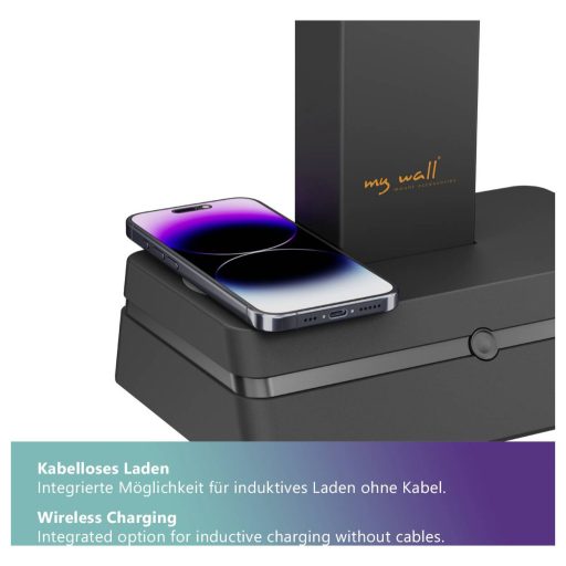 My Wall HL66-2L Monitor tartó