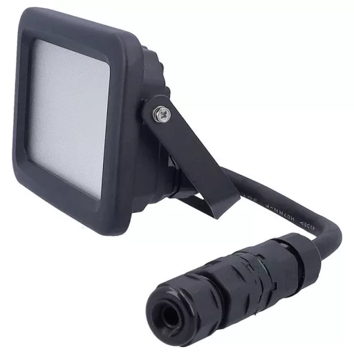 AS Schwabe Optiline 46660 LED-es kültéri fényszóró EEK: E (A - G) LED 30 W Fekete