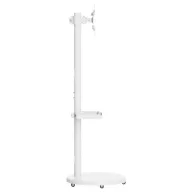   Reflecta TV Stand 43P-2020T weiß TV talp 43,2 cm (17) - 109,2 cm (43) Dönthető, Csuklóval mozgatható, Forgatható, Állítható magasságú Készülék tartó