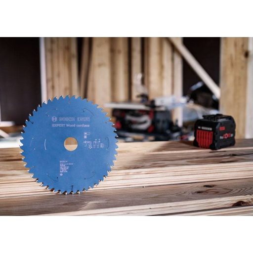 Bosch Accessories 2608902177 2608902177 Körfűrészlap Fogak száma (collonként): 60 1 db