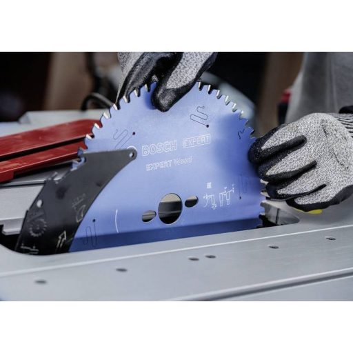 Bosch Accessories 2608902206 2608902206 Körfűrészlap Fogak száma (collonként): 48 1 db