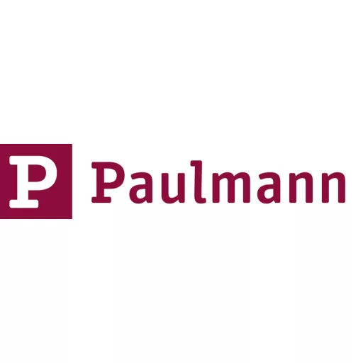 Paulmann 97656 Nagyfeszültségű sínes rendszer elemek T összekötő Króm (matt)