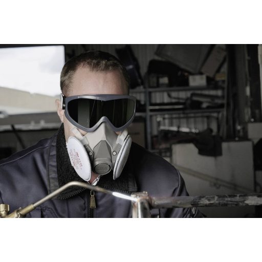 3M 2895S Teljes védőszemüveg Fekete, Fehér EN 169 DIN 169