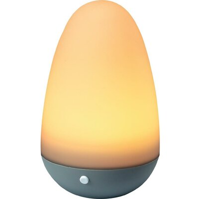 Hangulatlámpa, dekorációs lámpa, Egg shape, 0,7 W Renkforce OVORG-02 LED RGB
