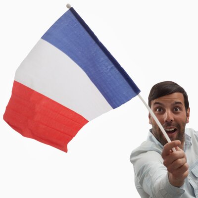 Francia Zászló Rúddal (46 x 30 cm)