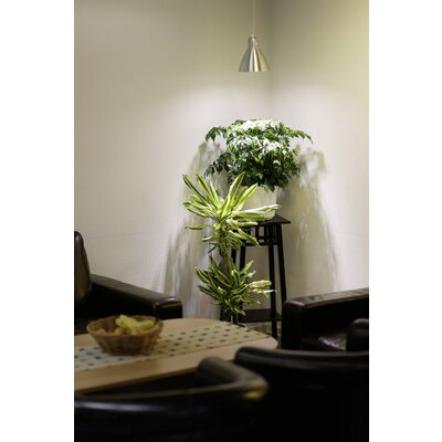 Venso Növény lámpa 89.5 mm 230 V E27 6 W Semleges fehér Reflektor 1 db